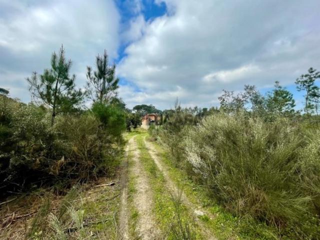 Terreno venda em Vilar Seco, Nelas