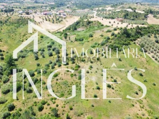 Terreno venda em Santarém