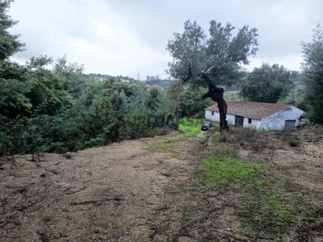 Terreno venda em Póvoa João Dias, Couto Do Mosteiro
