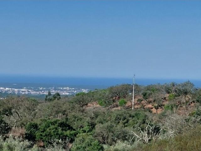 Quinta venda em Valinho, Santiago Do Cacém