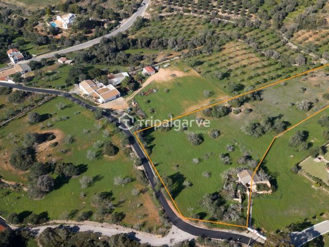 Loja venda em Albufeira, Faro