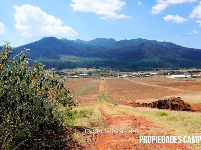 Terreno en venta en Chignahuapan, Puebla