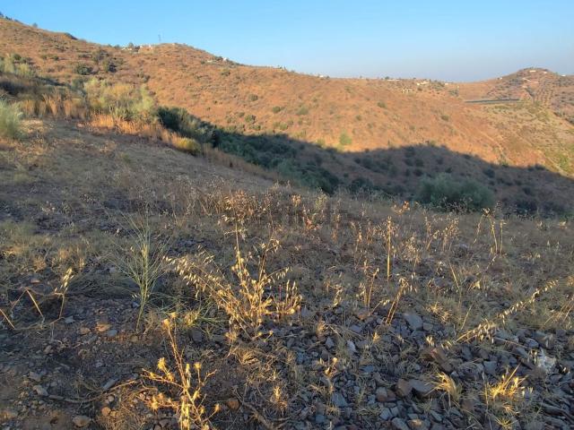 Terreno en venta en La Axarquía, Andalucía