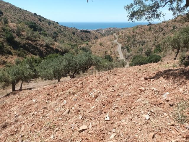 Terreno en venta en La Axarquía, Andalucía