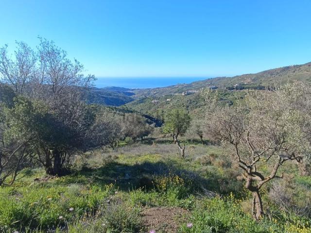 Terreno en venta en La Axarquía, Andalucía