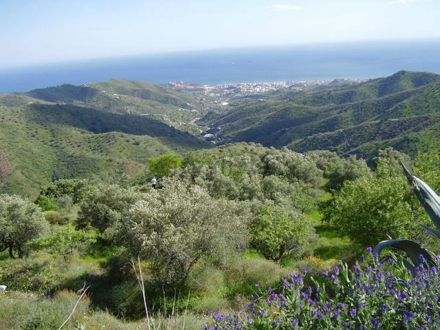 Terreno en venta en La Axarquía, Andalucía
