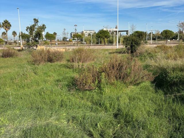 Terreno en venta en la Plana Baixa, Valencia