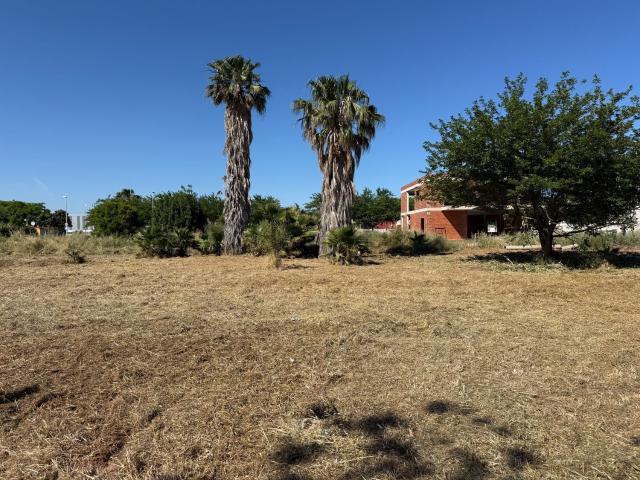 Terreno en venta en la Plana Baixa, Valencia