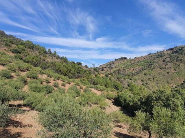Terreno en venta en Sierra de las Nieves, Andalucía