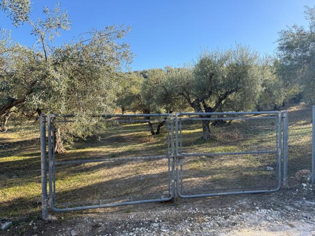 Terreno en venta en Sierra de las Nieves, Andalucía