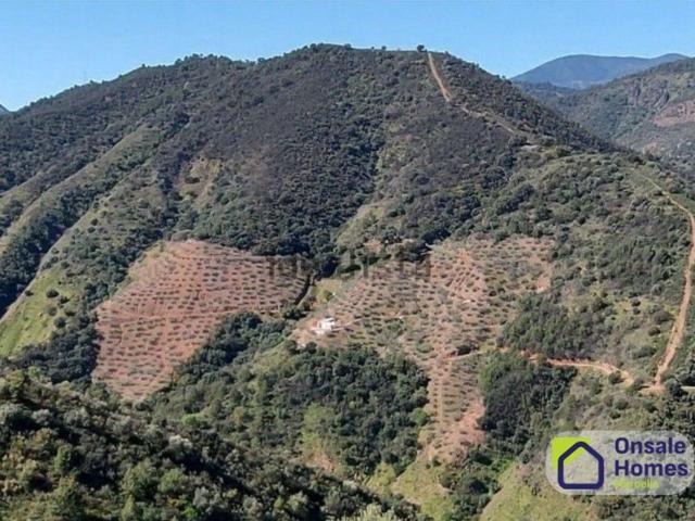 Terreno en venta en Sierra de las Nieves, Andalucía