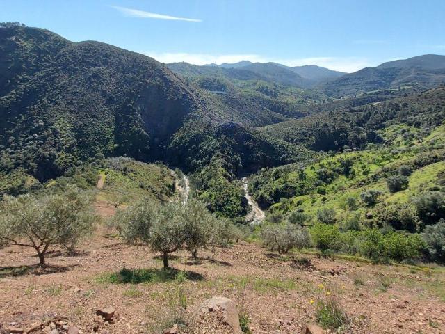 Terreno en venta en Sierra de las Nieves, Andalucía
