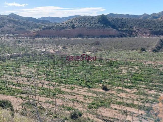Terreno en venta en el Vinalopó Mitjà / El Vinalopó Medio, Valencia