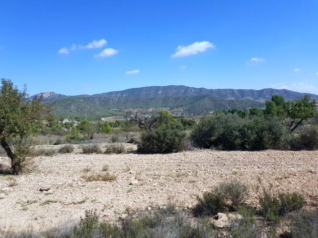 Terreno en venta en la Romaneta, el Vinalopó Mitjà / El Vinalopó Medio