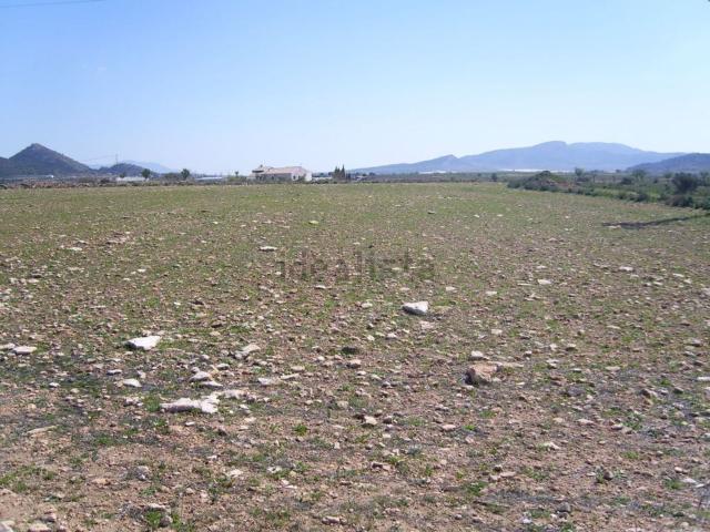 Terreno en venta en les Canyades d'en Cirus, Monòver / Monóvar