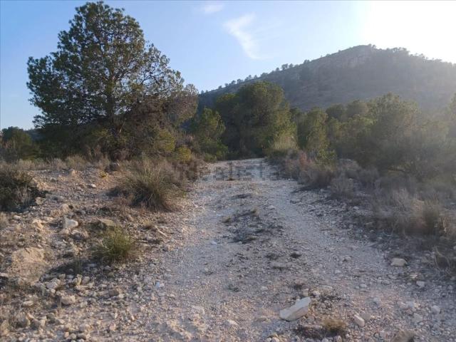 Terreno en venta en el Vinalopó Mitjà / El Vinalopó Medio, Valencia
