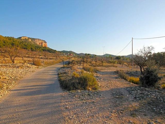 Terreno en venta en el Vinalopó Mitjà / El Vinalopó Medio, Valencia