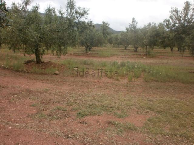 Terreno en venta en Mont-roig del Camp, Tarragona