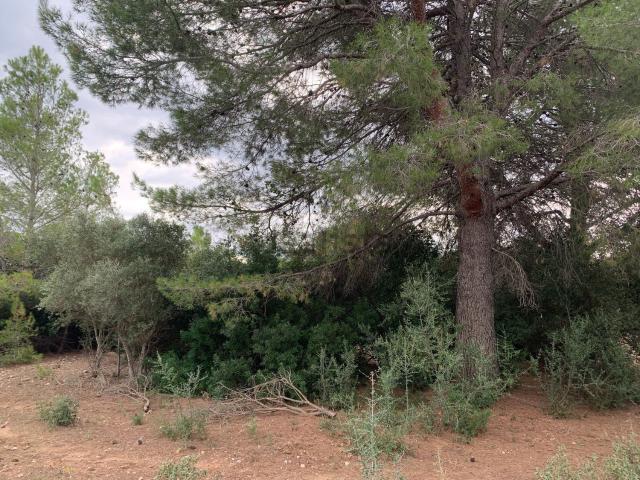Terreno en venta en Mainou, Baix Camp