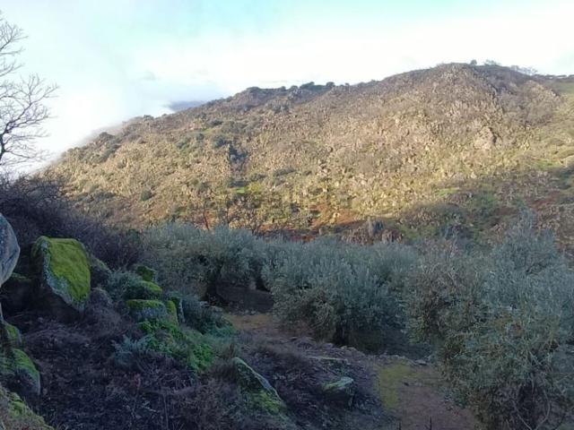 Terreno en venta en Montánchez, Extremadura