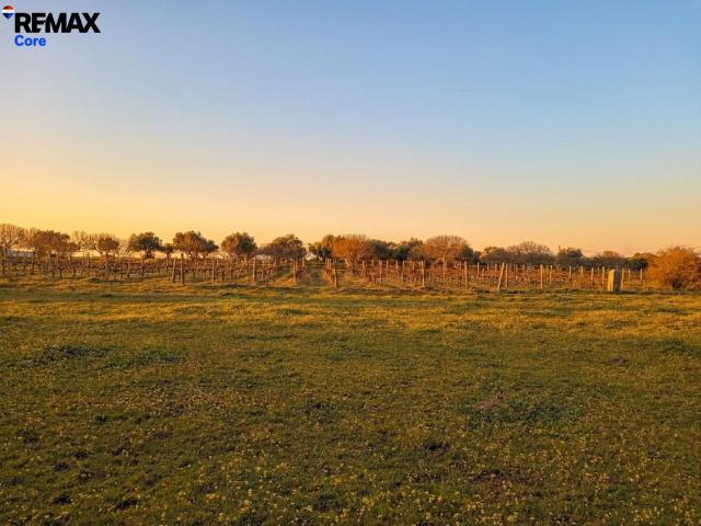 Terreno en venta en Montánchez, Extremadura