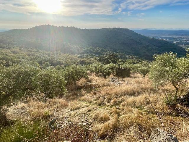 Terreno en venta en Montánchez, Extremadura