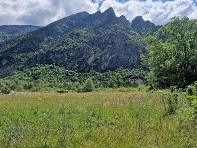 Terreno en venta en Veracruz, Aragón