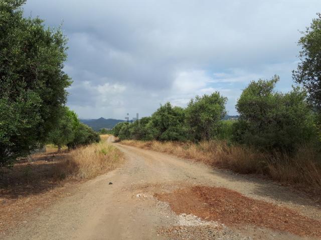 Terreno en venta en Baix Camp, Catalunya