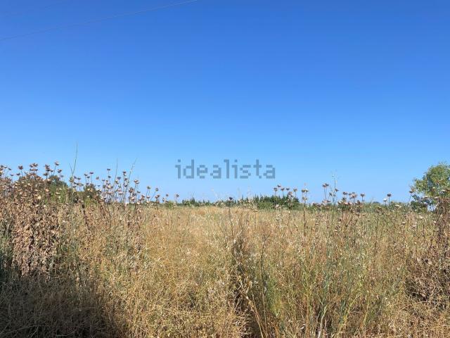 Terreno en venta en Baix Camp, Catalunya