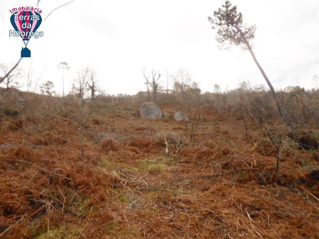 Terreno venda em Grovelas São João Evangelista, Viana Do Castelo