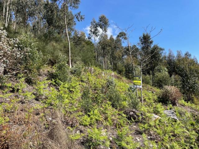 Terreno venda em Boalhosa, Viana Do Castelo