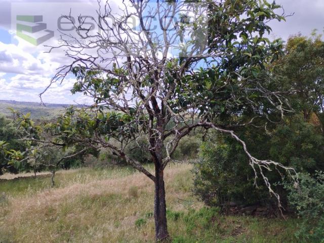 Terreno venda em Castelo Branco, Vila Velha De Ródão