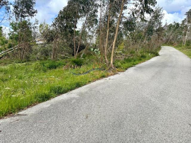 Terreno venda em Caravela, Leiria