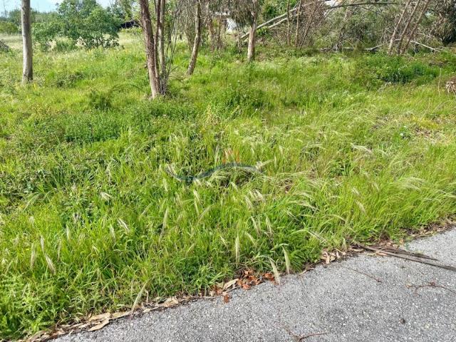 Terreno venda em Caravela, Leiria
