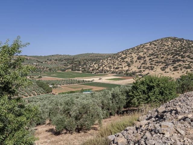 Terreno en venta en Comarca de Loja, Andalucía