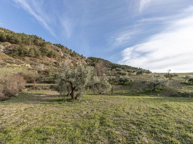 Terreno en venta en Comarca de la Vega de Granada, Andalucía