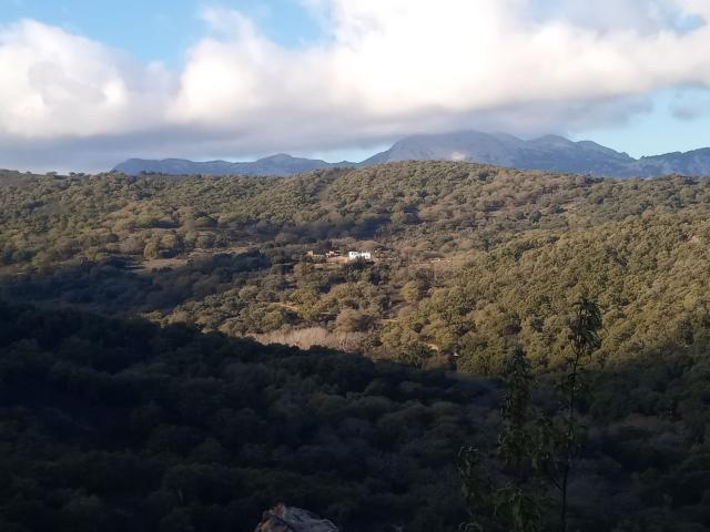 Terreno en venta en Serranía de Ronda, Andalucía
