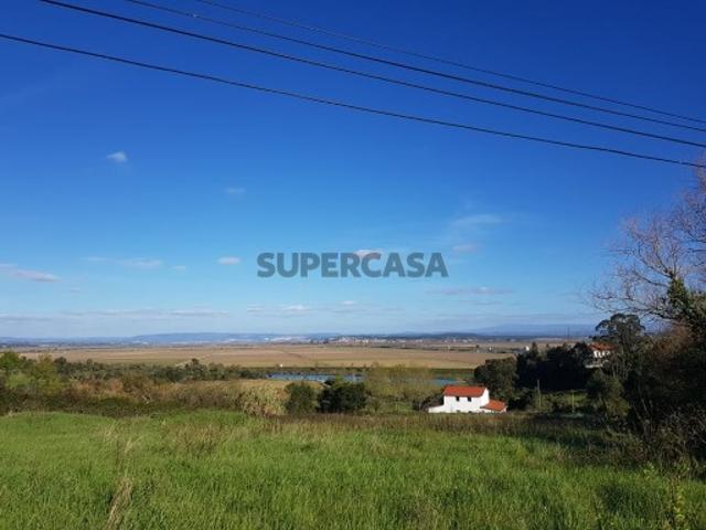 Terreno venda em Montemor-o-velho Terreno venda em Montemor-o-velho