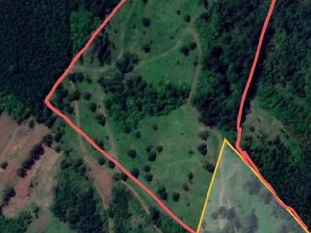 Terreno venda em Montenegro