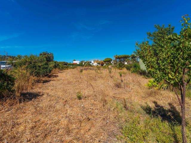 Terreno alugar em Vale das Almas, Faro