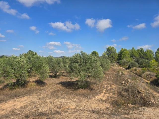 Terreno en venta en Alt Camp, Catalunya