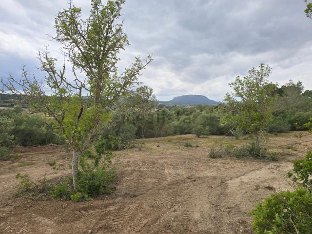 Terreno en venta en Pla de Mallorca, Baleares