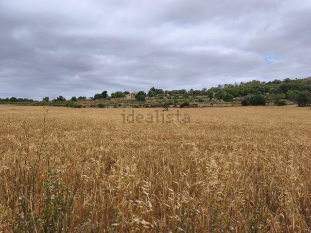 Terreno en venta en Pla de Mallorca, Baleares
