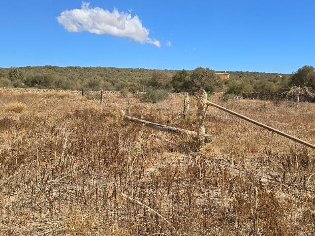 Terreno en venta en Pla de Mallorca, Baleares