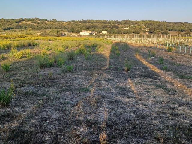 Terreno en venta en Pla de Mallorca, Baleares