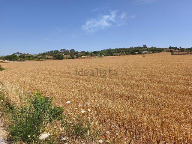 Terreno en venta en Pla de Mallorca, Baleares