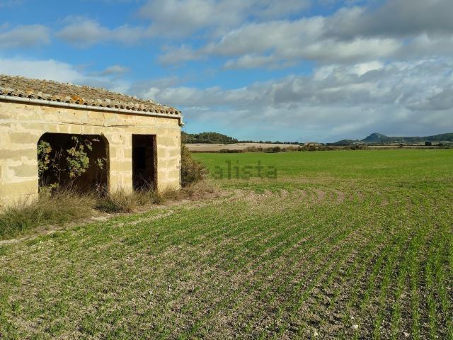 Terreno en venta en Pla de Mallorca, Baleares