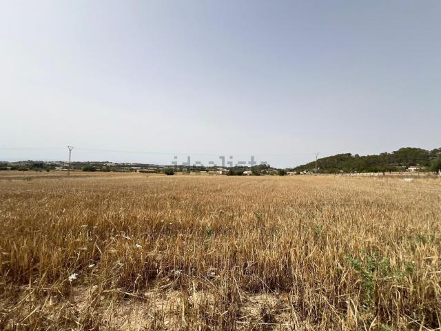 Terreno en venta en Pla de Mallorca, Baleares