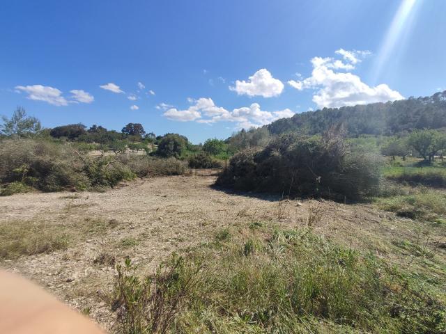 Terreno en venta en Pla de Mallorca, Baleares
