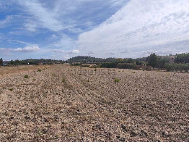 Terreno en venta en Pla de Mallorca, Baleares